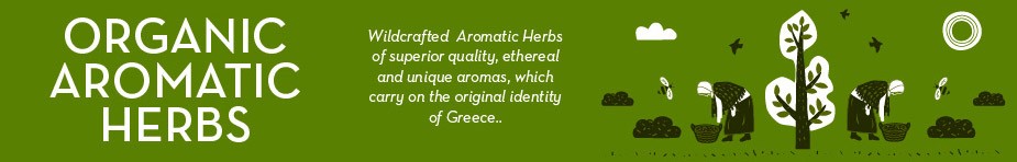 Organic Aromatic Herbs